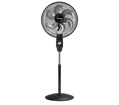 WhatsApp Image 2025-10-31 at 09.13.16